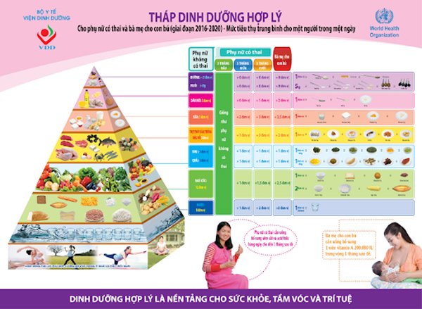 Chế độ dinh dưỡng cho bà bầu 3 tháng đầu, giữa, cuối nên ăn gì và ăn bao nhiêu?