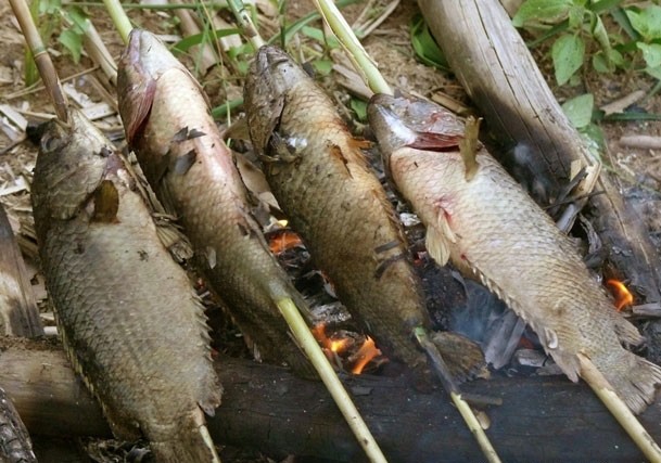 Tự nấu đặc sản canh cá rô đồng tại nhà ngon như nhà hàng