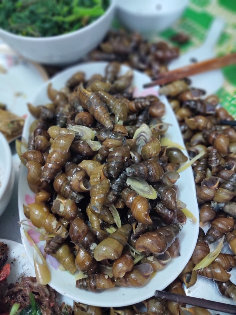 Người Sơn La chỉ cần ra suối là bắt được cả rổ ốc về làm món đặc sản lừng danh