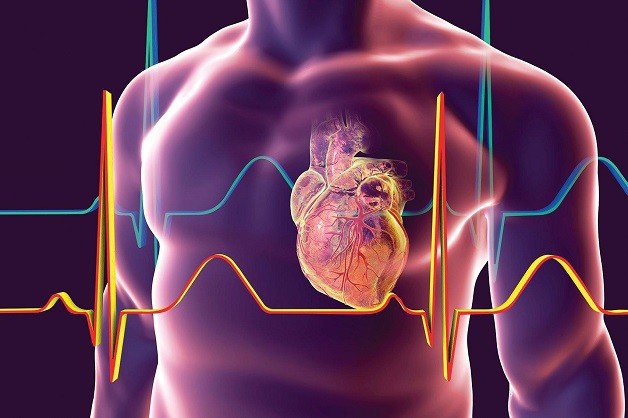 Vì sao bệnh tim mạch đang ngày càng trẻ hóa?