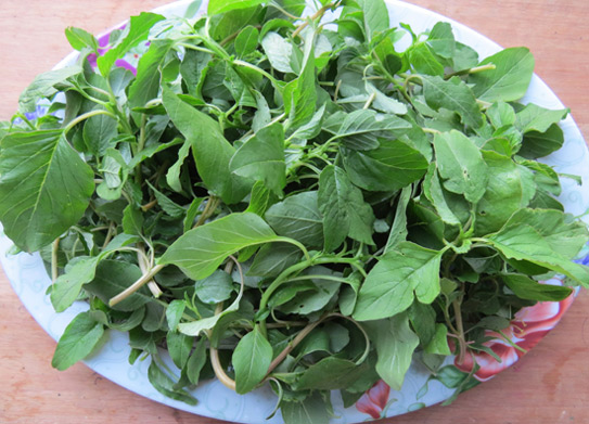 Bất ngờ 7 loại rau được xem là 