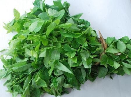Loại rau rẻ tiền nhiều chất dinh dưỡng, giúp tăng cường hệ miễn dịch