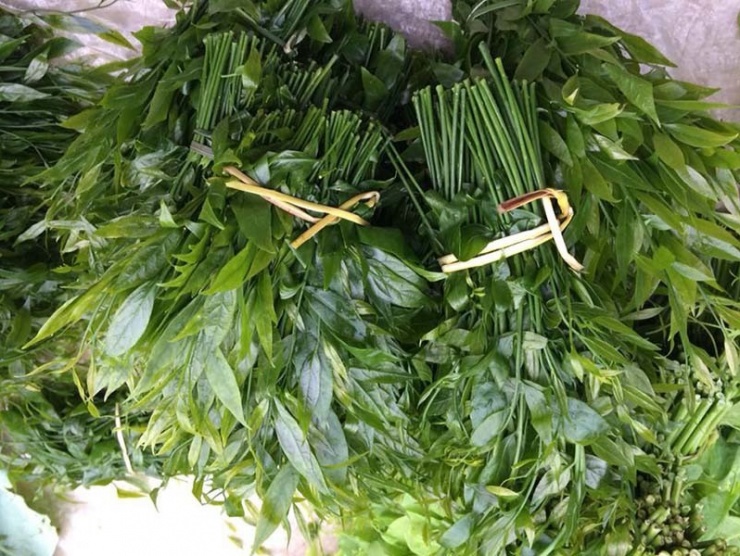 Ăn 1 mớ rau này tốt hơn 