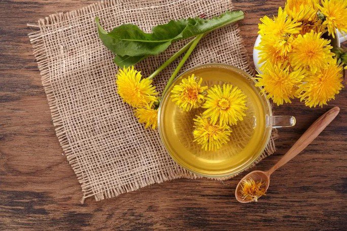 Loại trà hoa người Việt hay dùng có chất chống di căn ung thư