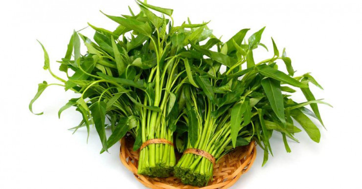 Những điều cấm kỵ khi ăn rau muống, cần tránh xa
