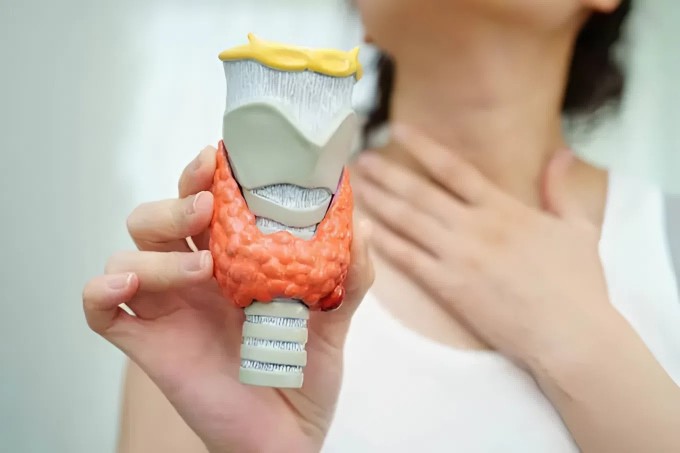 Vì sao phụ nữ dễ mắc bệnh tuyến giáp hơn nam giới?