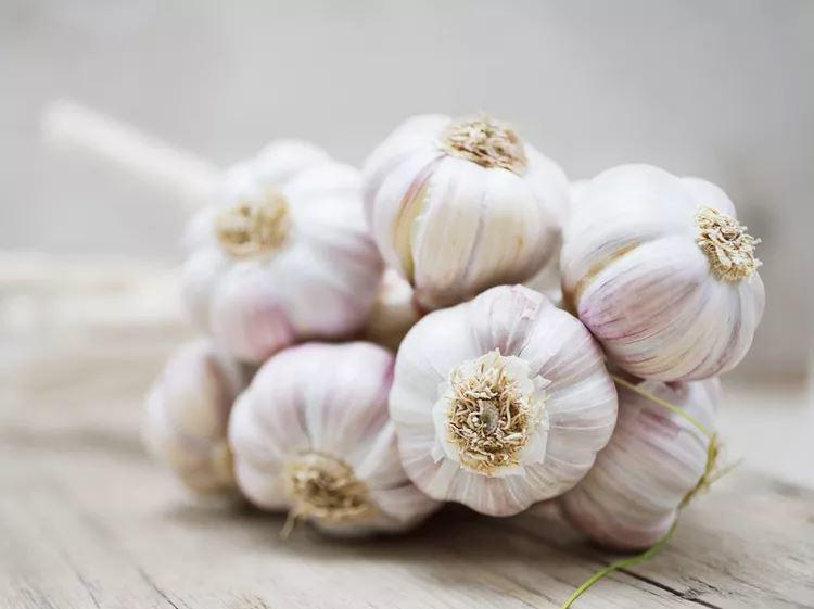 Nếu biết 8 lợi ích quý hơn vàng của tỏi, bạn sẽ muốn ăn nó nhiều hơn