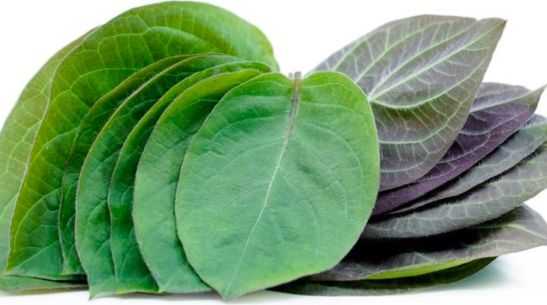 Loại rau thơm ăn kèm có công dụng tuyệt vời đối với bệnh tiêu hóa
