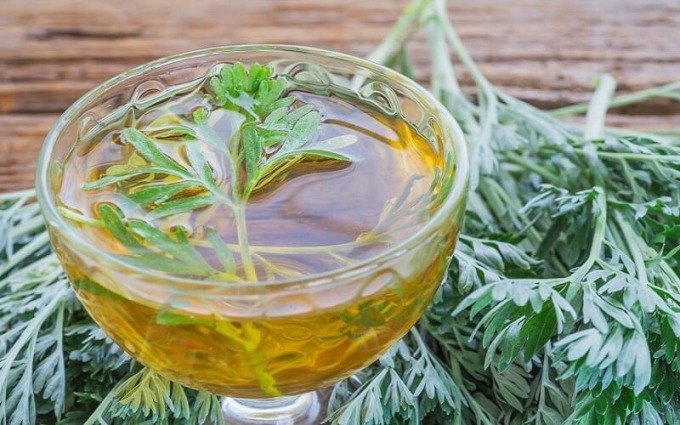 Rau ngải cứu có tác dụng gì?