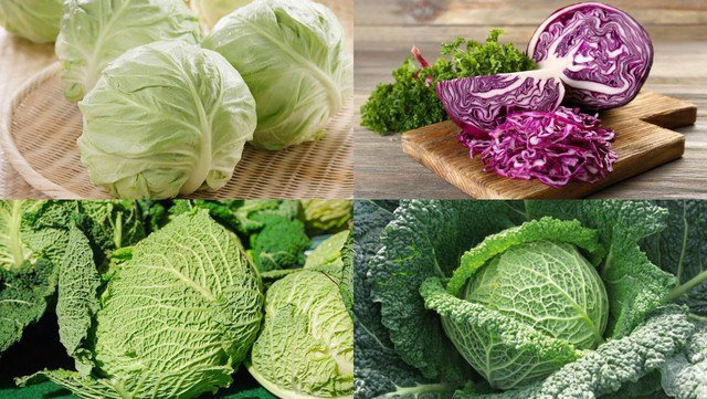 Cách ăn làm sạch máu trong cơ thể của người Nhật