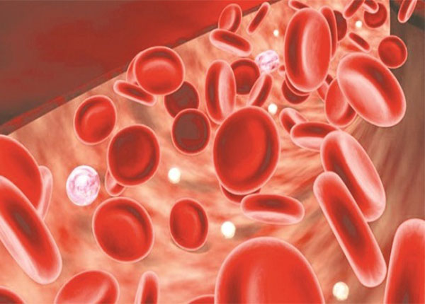 Bệnh thiếu máu: dấu hiệu, nguyên nhân và cách chữa trị