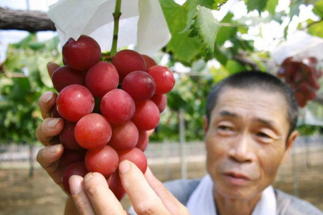 9 nguyên tắc ăn uống giúp người Nhật sống thọ nhất thế giới