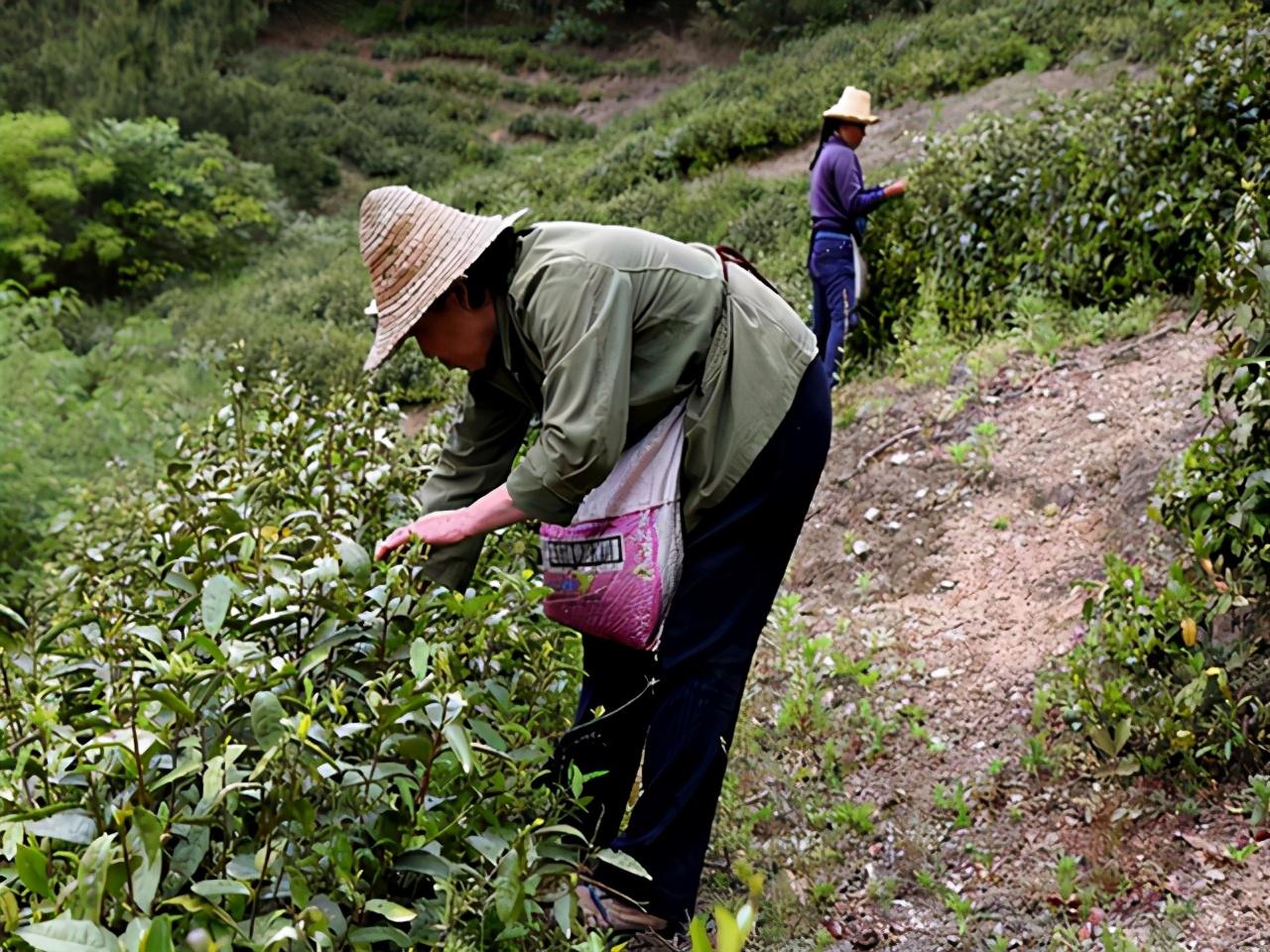 Cụ bà 96 tuổi chung sống với ung thư gan 20 năm và bí quyết đẩy lùi bệnh được “gói” trong 3 điều