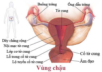 Tác hại của bệnh viêm vùng chậu