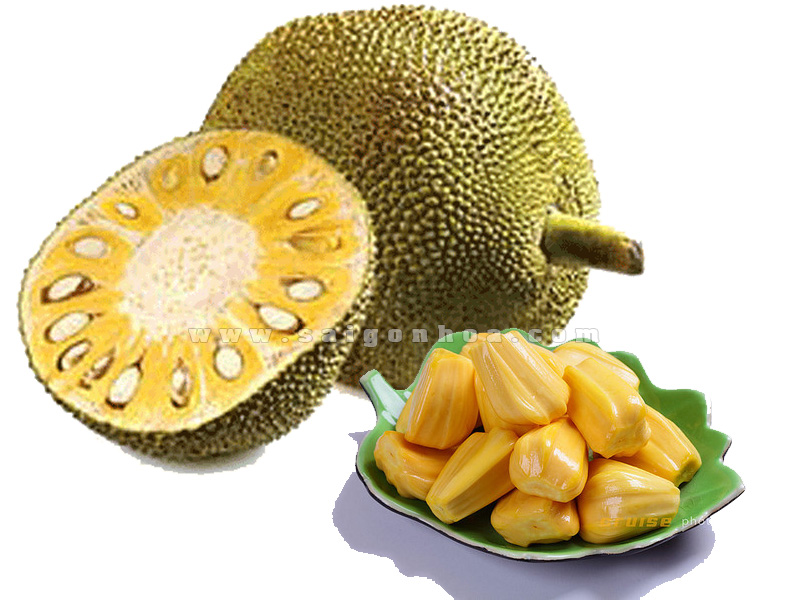 Lợi ích của mít đối với sức khỏe