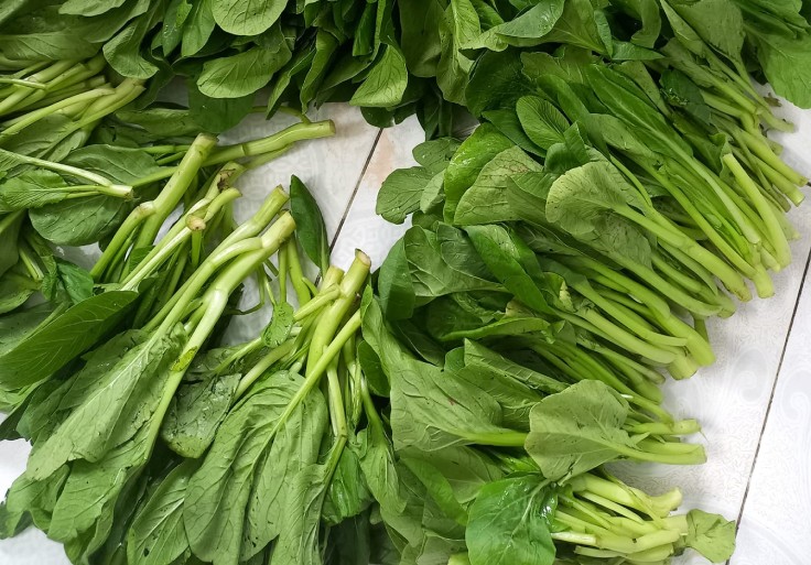 Thường xuyên ăn rau cải ngăn chặn 4 bệnh ung thư