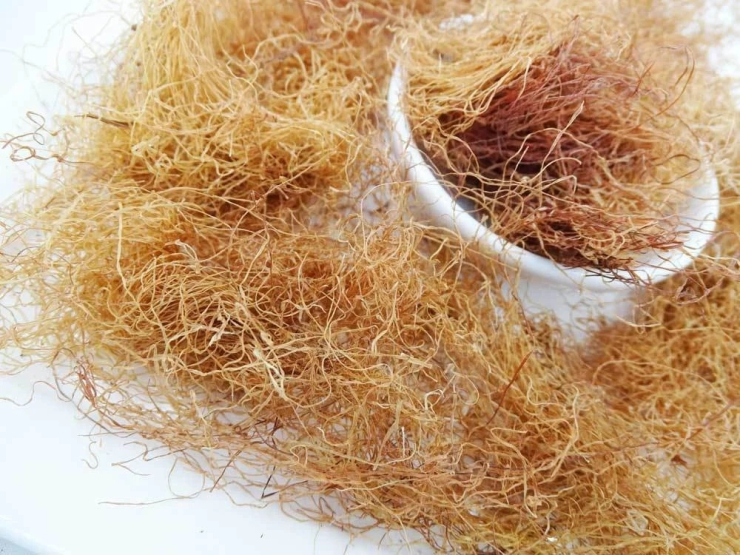 Vị thuốc dưỡng gan, bổ cho tim mạch, nhiều người không biết vẫn hay vứt bỏ