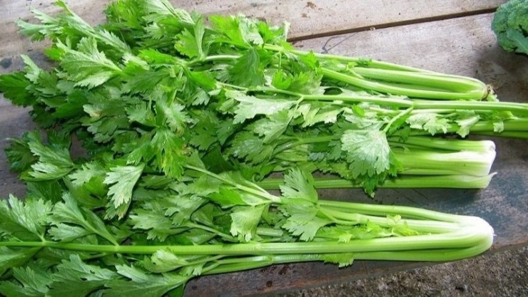 Muốn giải nhiệt, hỗ trợ gan khỏe mạnh, nên bổ sung ngay 4 loại rau này