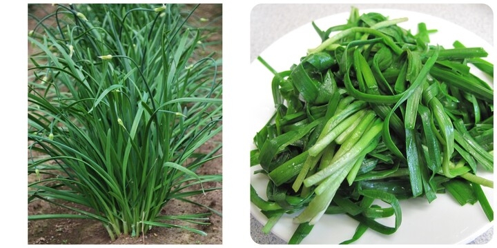 Cây thuốc nhỏ nhưng có võ, giúp bổ thận tráng dương, bảo vệ tim mạch lại dễ tìm