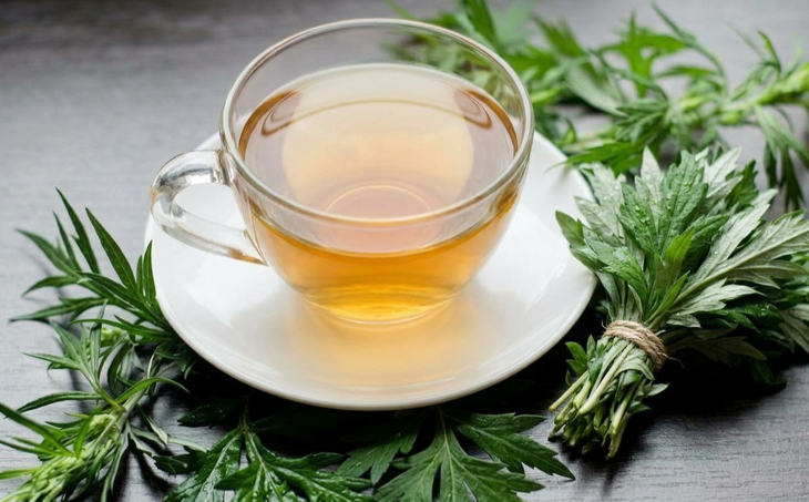 Nước lá ngải cứu có tác dụng gì?